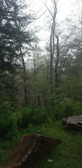 Hamlin Cabins Picture 1