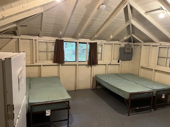 Brow Cabins, Allegany State Park Picture 9