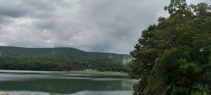 Brow Cabins, Allegany State Park Picture 5