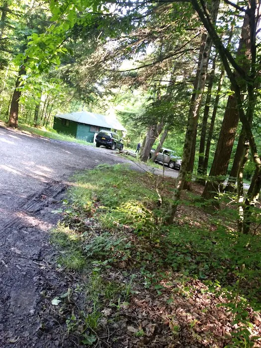 Brow Cabins, Allegany State Park Picture 4