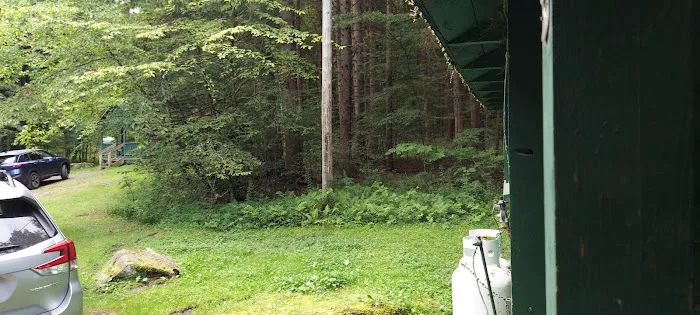 Brow Cabins, Allegany State Park Picture 2