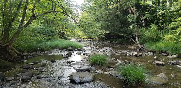 Brow Cabins, Allegany State Park Picture 1