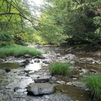 Brow Cabins, Allegany State Park ico