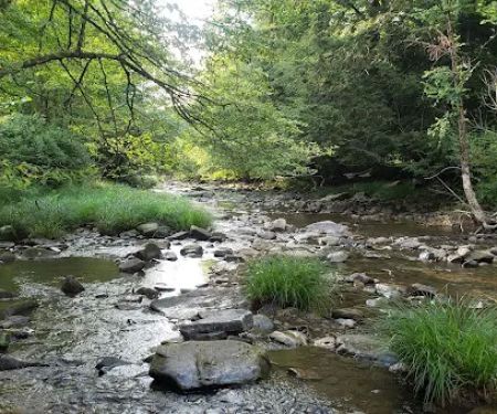 Brow Cabins, Allegany State Park