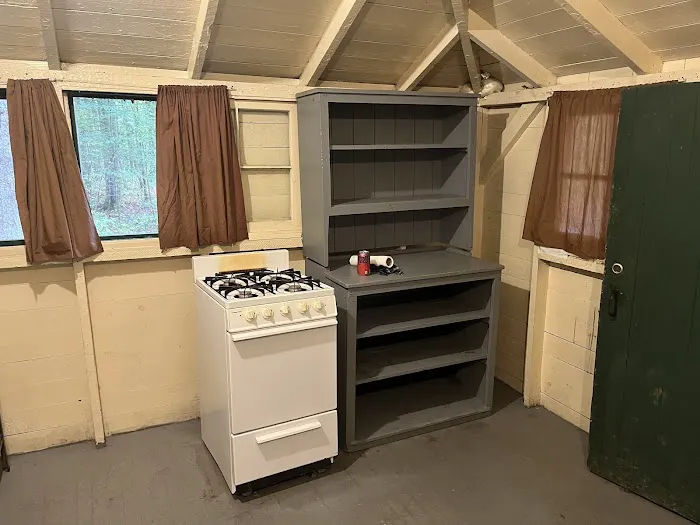 Brow Cabins, Allegany State Park Picture 10