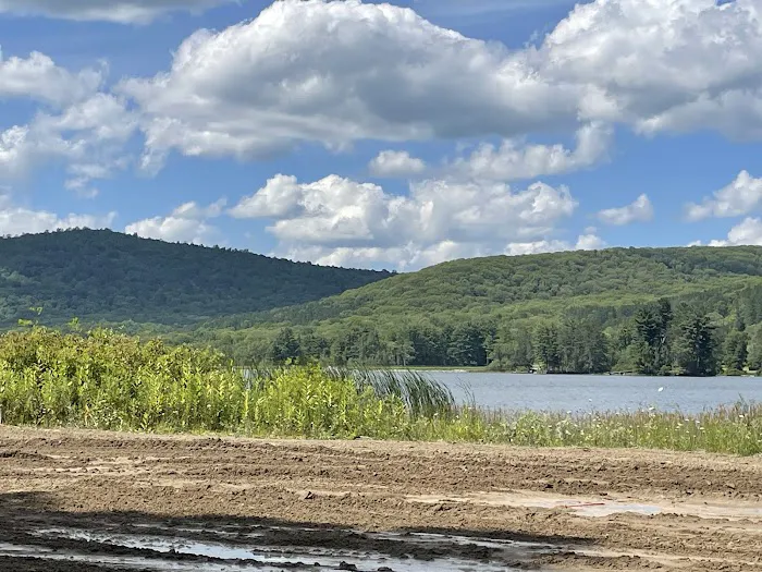 Diehl Cabins/Campsites, Allegany State Park Picture 3