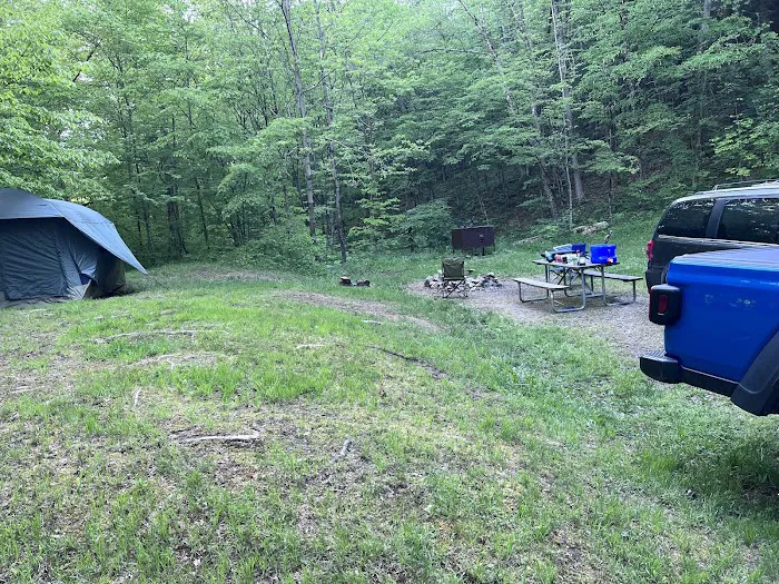 Diehl Cabins/Campsites, Allegany State Park Picture 2