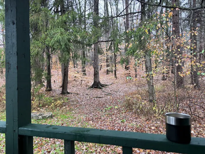 Diehl Cabins/Campsites, Allegany State Park Picture 1