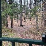 Diehl Cabins/Campsites, Allegany State Park