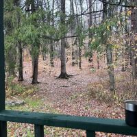 Diehl Cabins/Campsites, Allegany State Park ico