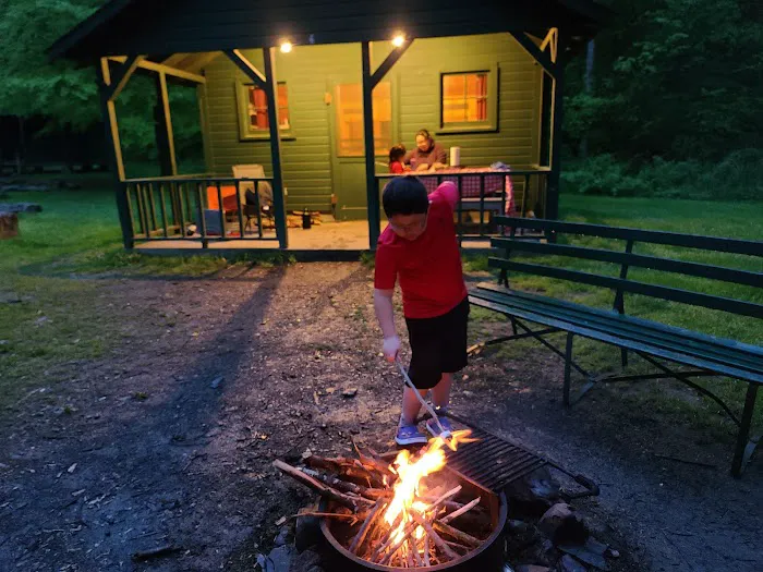 Diehl Cabins/Campsites, Allegany State Park Picture 9