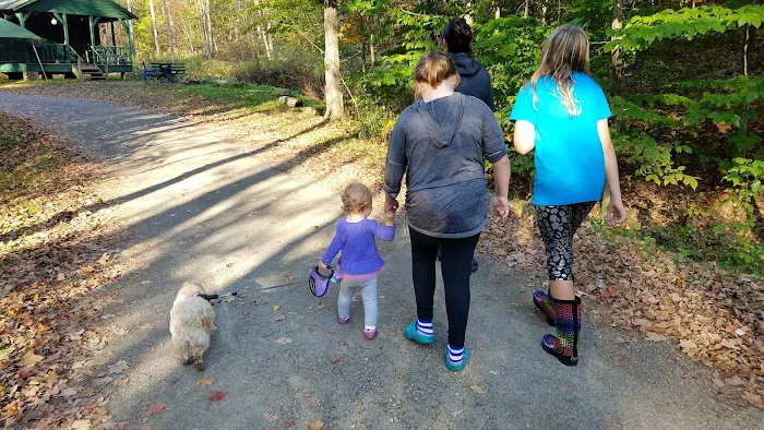 Diehl Cabins/Campsites, Allegany State Park Picture 8