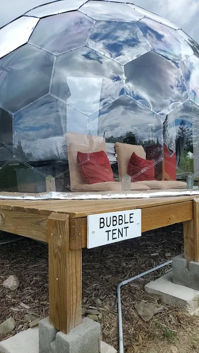 Bubble Tent/ Geodesic Dome @ Silverlaken Estate Picture 2