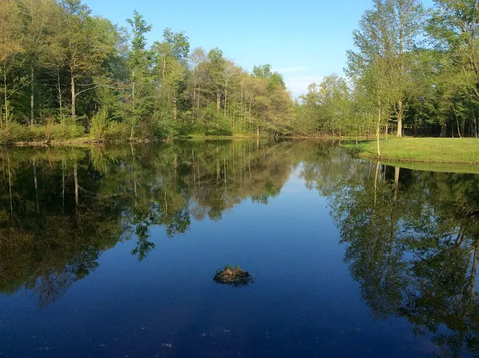 Beaver Meadow Family Campground Picture 6