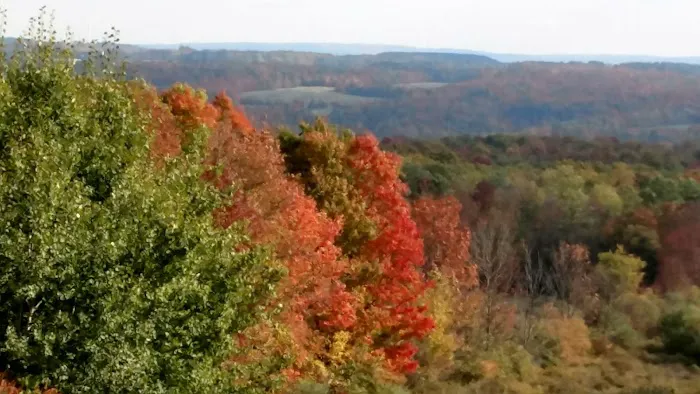 Mountain Meadows Park Picture 4