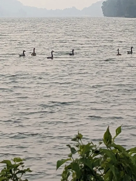 Cain Hollow Campground Picture 6