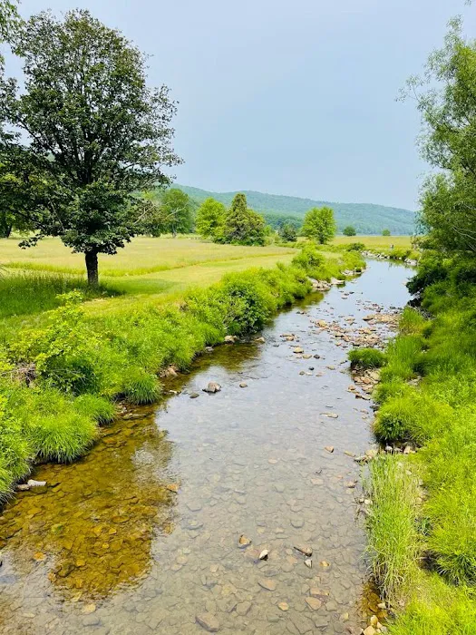 Cain Hollow Campground Picture 1