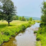 Cain Hollow Campground