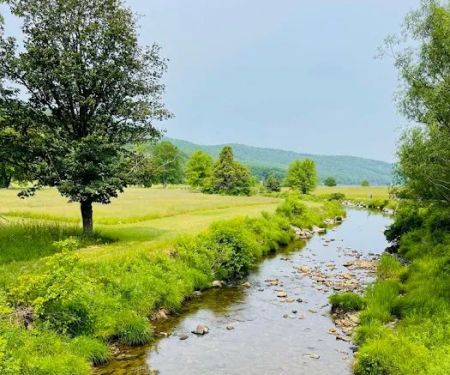 Cain Hollow Campground