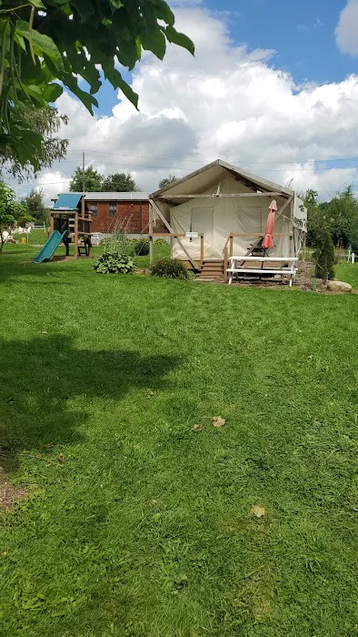 Canvas cabin #1 @ Silverlaken Estate Picture 4