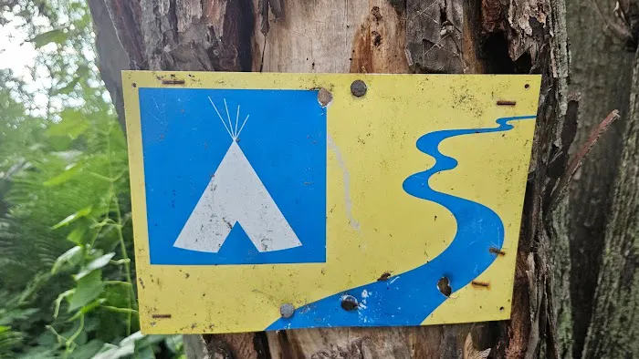 Harkdale Farm Campsite Picture 5