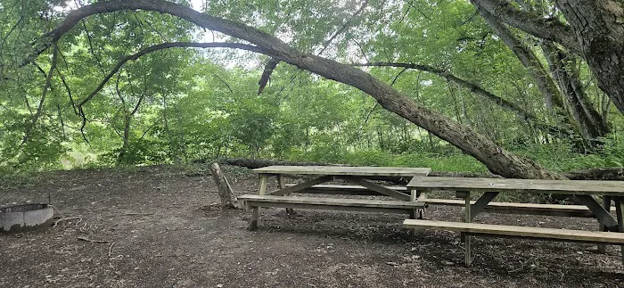 Harkdale Farm Campsite Picture 8