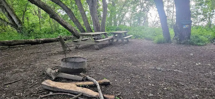 Harkdale Farm Campsite Picture 9