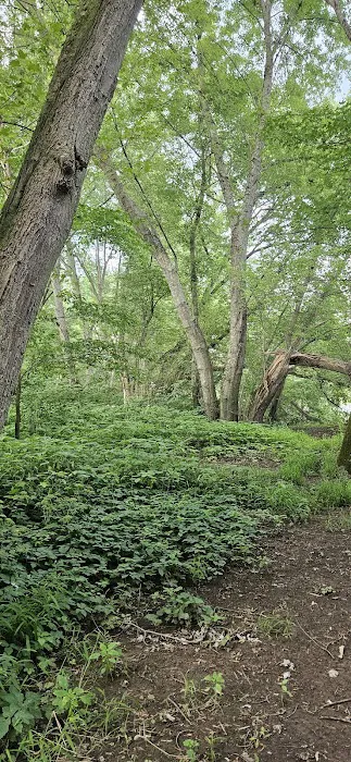 Harkdale Farm Campsite Picture 7