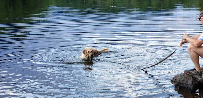 River Meadow Campground Picture 7