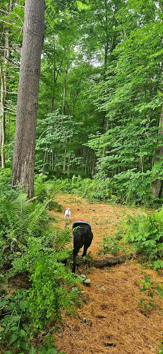 Horse Meadow Campsite Picture 9