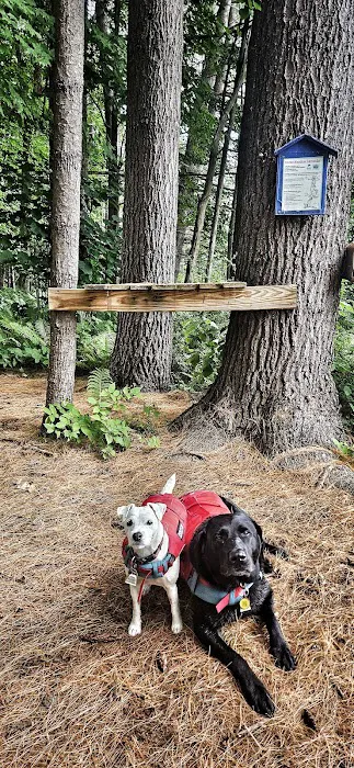 Horse Meadow Campsite Picture 7