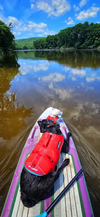 Horse Meadow Campsite Picture 10