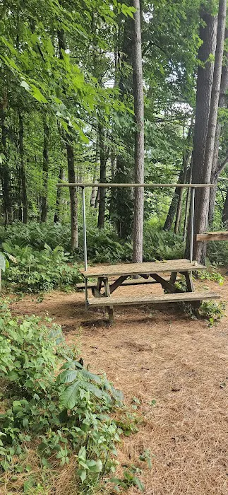 Horse Meadow Campsite Picture 6