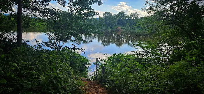 Horse Meadow Campsite Picture 1
