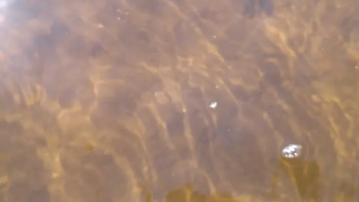 Oliverian Boating Site Picture 5