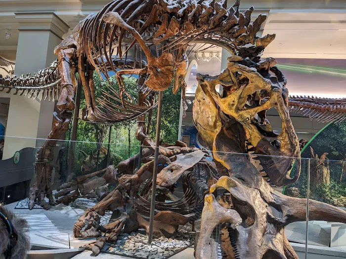 Twin River Campground & Cottages Picture 8