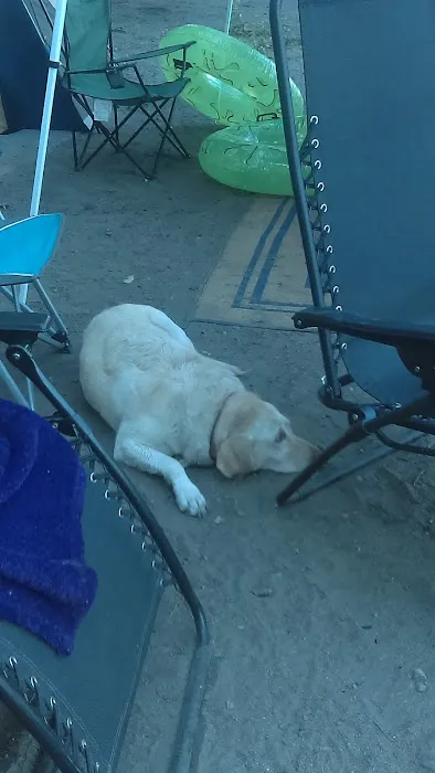 Lincoln Pond Campground Picture 10