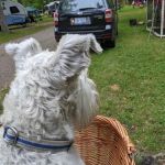 North Beach Campground