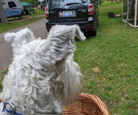 North Beach Campground