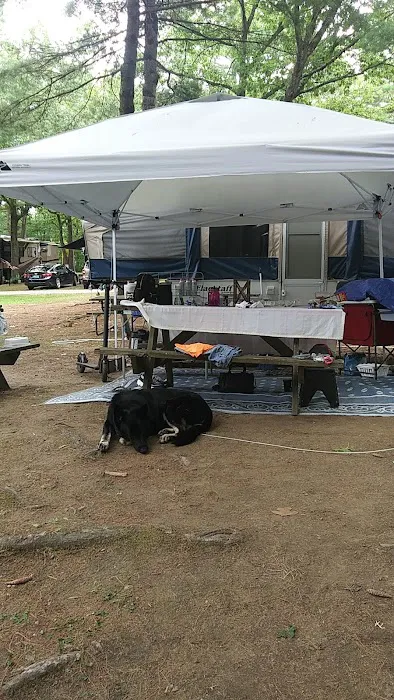 Malletts Bay Campground Picture 7