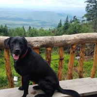 Butler Lodge ico