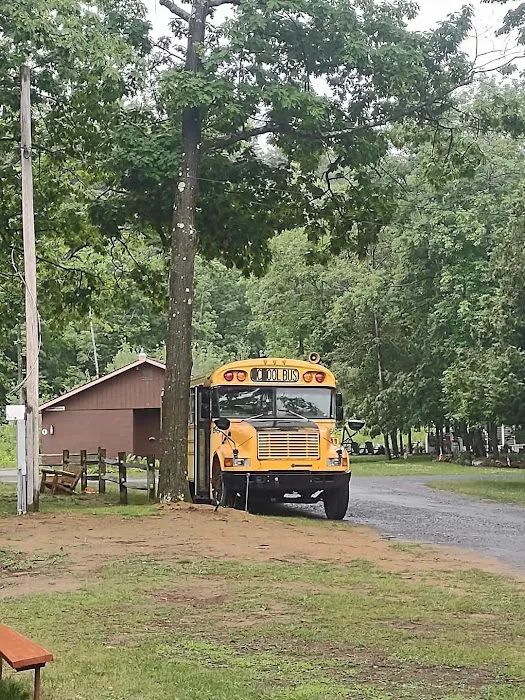 Port Kent Campsite Picture 4