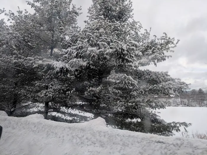 Gold Brook Campground Picture 4