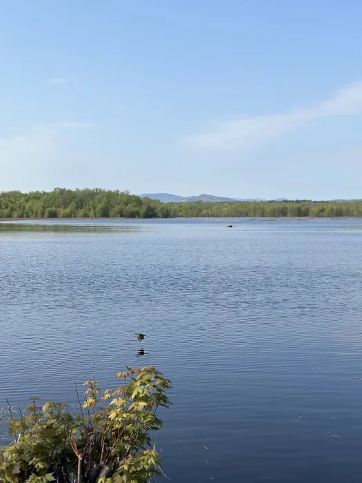 Ausable Point Campground Picture 3