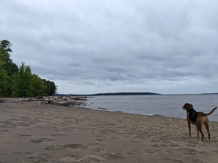 Ausable Point Campground Picture 8