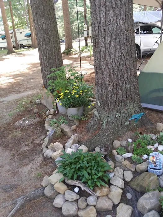 Twin Ponds Resort Campsite Picture 3