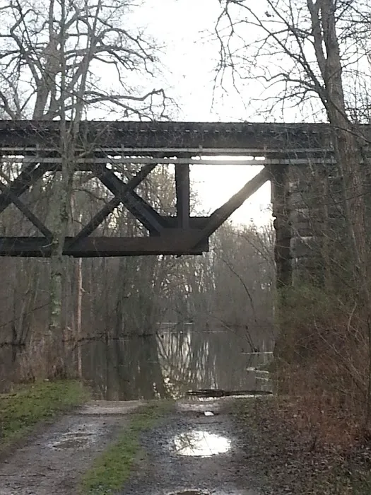 Ausable Pines Campground & RV Picture 4