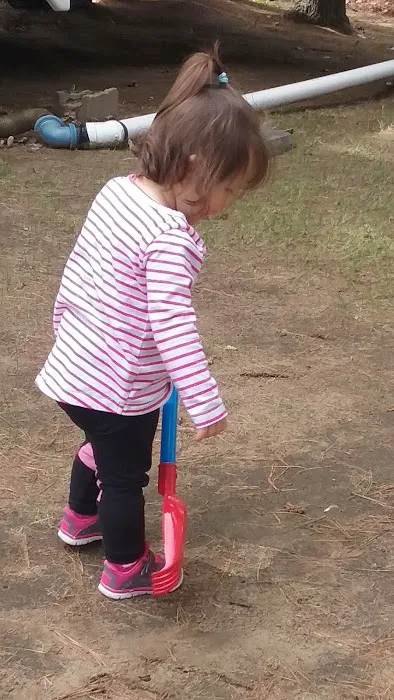 Ausable Pines Campground & RV Picture 6