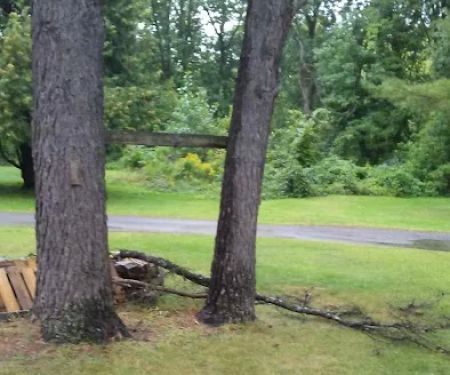 Ausable Pines Campground & RV