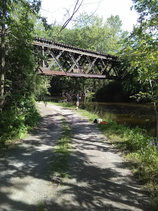 Ausable Pines Campground & RV Picture 9